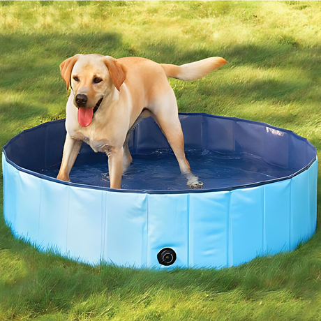 Floofi Foldable PVC Pet Pool XXL 1600mm x 300mm