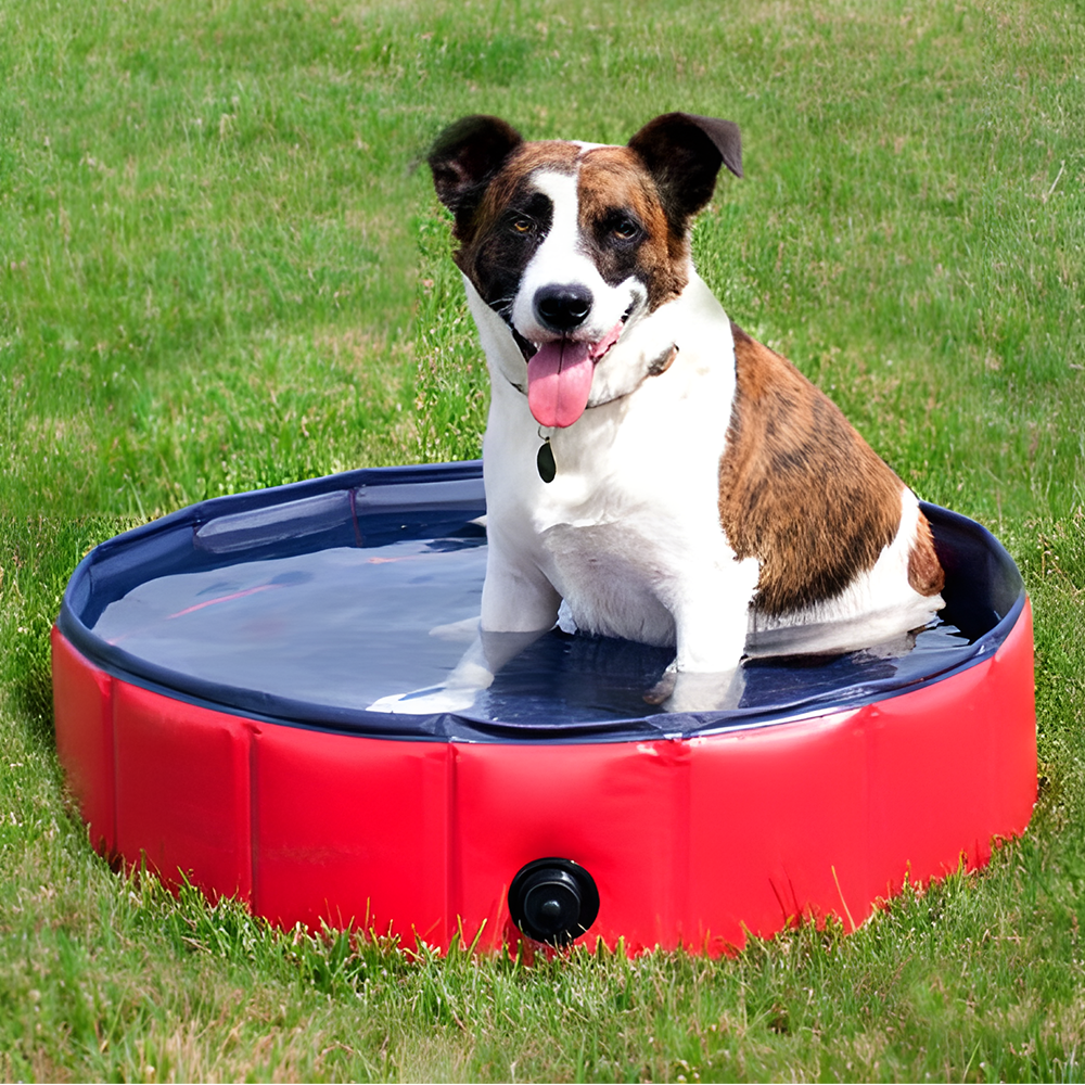 Floofi Foldable PVC Pet Pool XL 1200mm x 300mm