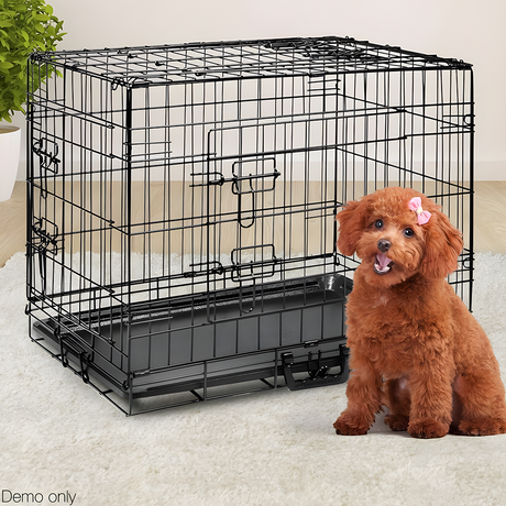 dog near i.Pet 24inch Pet Cage - Black