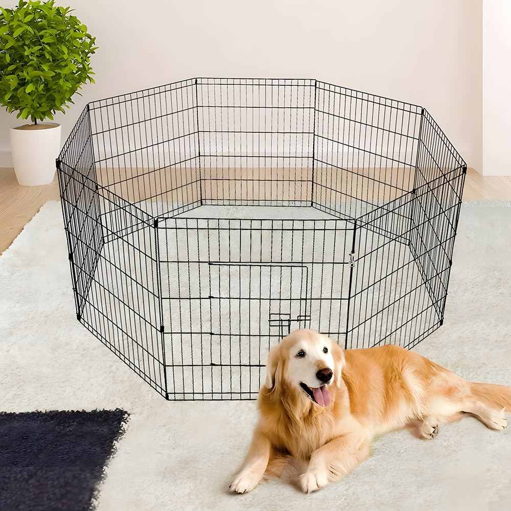 30 inch dog pen best sale