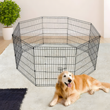 dog outside the i.Pet 30inch Pet Play Pen - Black