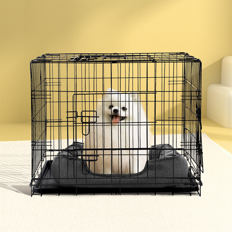 small dog inside i.Pet 36inch Pet Cage - Black