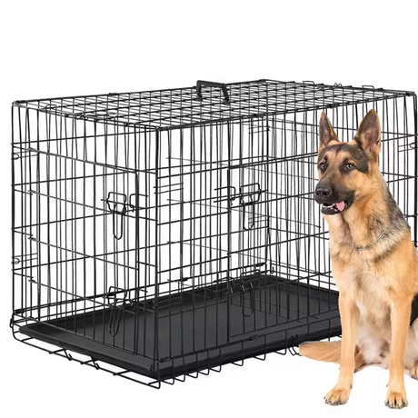 dog beside i.Pet 42inch Pet Cage - Black