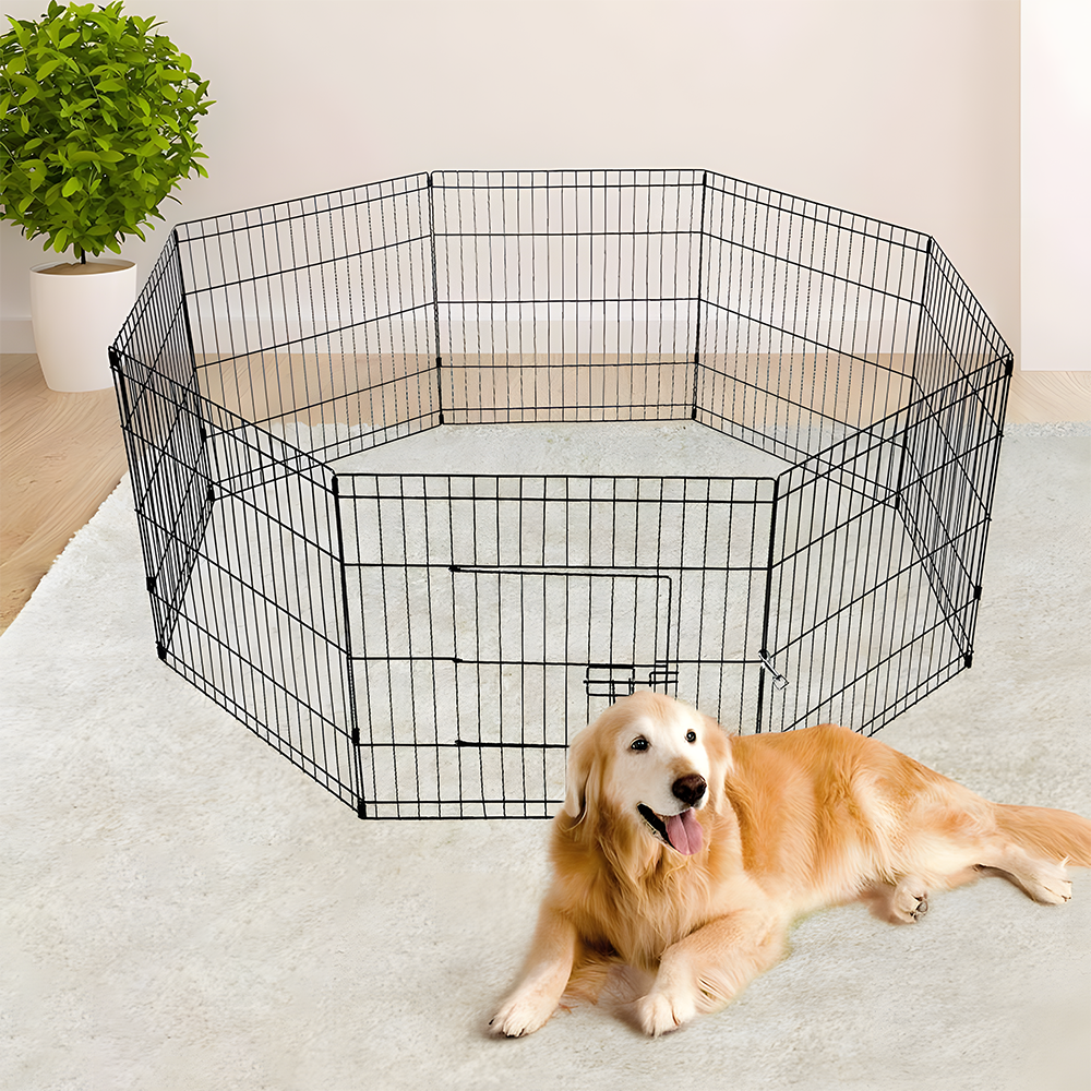 A golden retriever lying on a carpeted floor next to an octagonal black wire pet fence, set up in a light-coloured room with a plant in the background