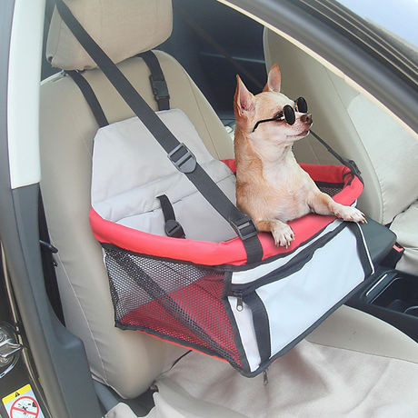 small dog in the New Aim Pet-Safe Car Booster