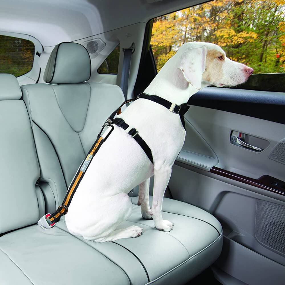 Kurgo Direct to Seatbelt Tether for Dogs Ramp Champ