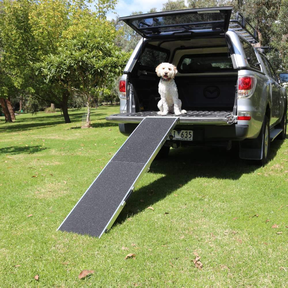 Foldable dog ramp best sale